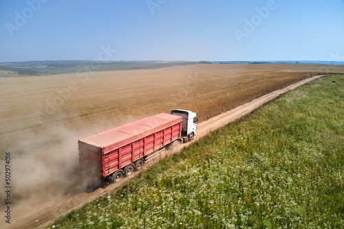 Aerial view of lorry cargo truck driving on dirt road between agricultural wheat fields. Transportation of grain after being harvested by combine harvester during harvesting season