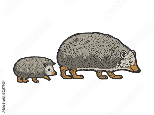 mother hedgehog with cub baby color sketch engraving vector illustration. T-shirt apparel print design. Scratch board imitation. Black and white hand drawn image.