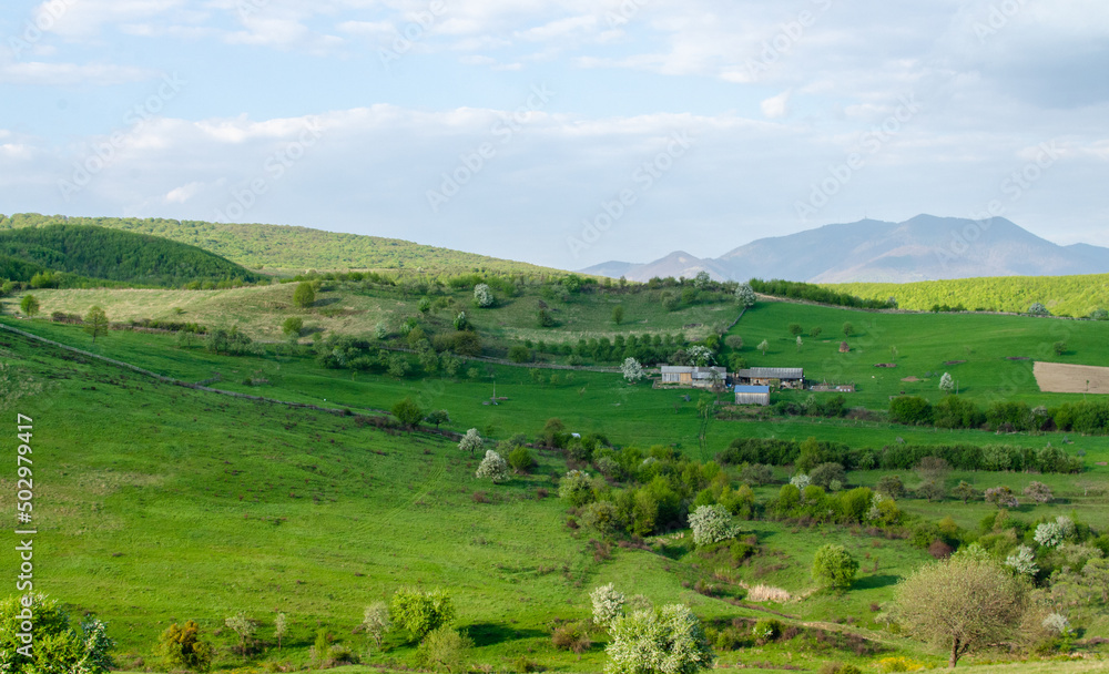 Naklejka premium landscape of region country