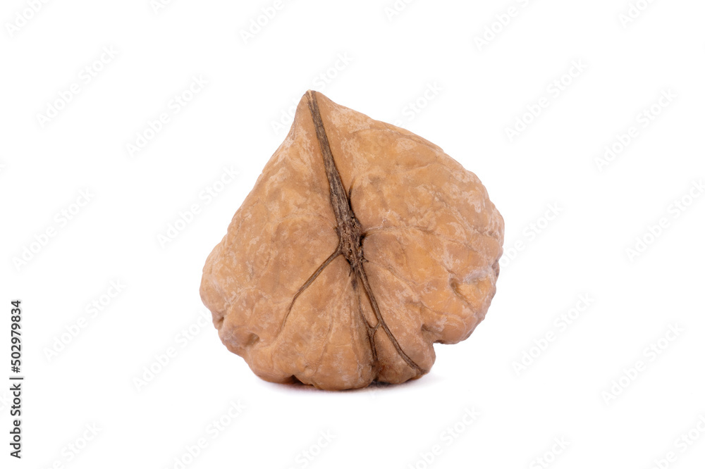 Ugly walnut is isolated on a white background. Different angles. Ugly walnut is isolated on a white background. Different angles.