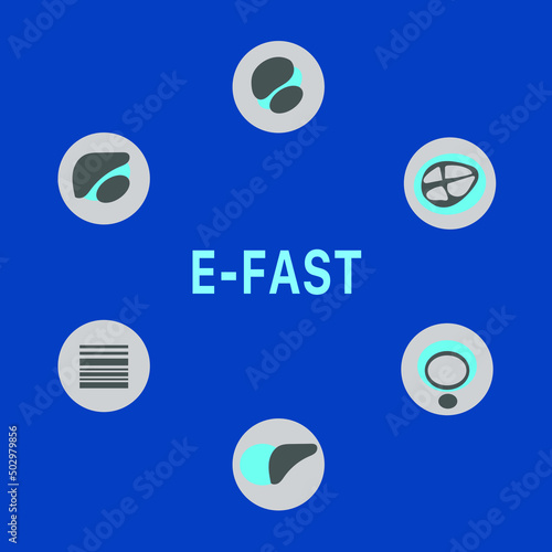 E-FAST with Icon Showing Abnormal Pathology photo