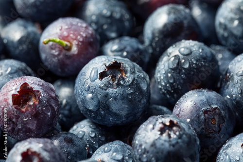 Raw Blue Organic Blueberries