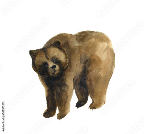 Watercolor bear on the white background. Fabric decoration. Forewst animals. Russia symbol animal. photo