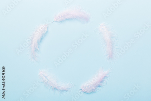 Frame of brightly colored dyed bird feathers on Colored background, top view