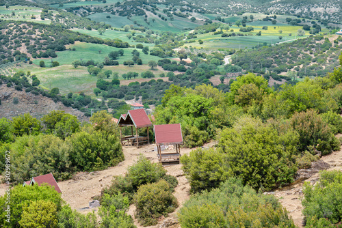 Wallpaper Mural High angle view, top view of nature and small houses and red roofs. Torontodigital.ca