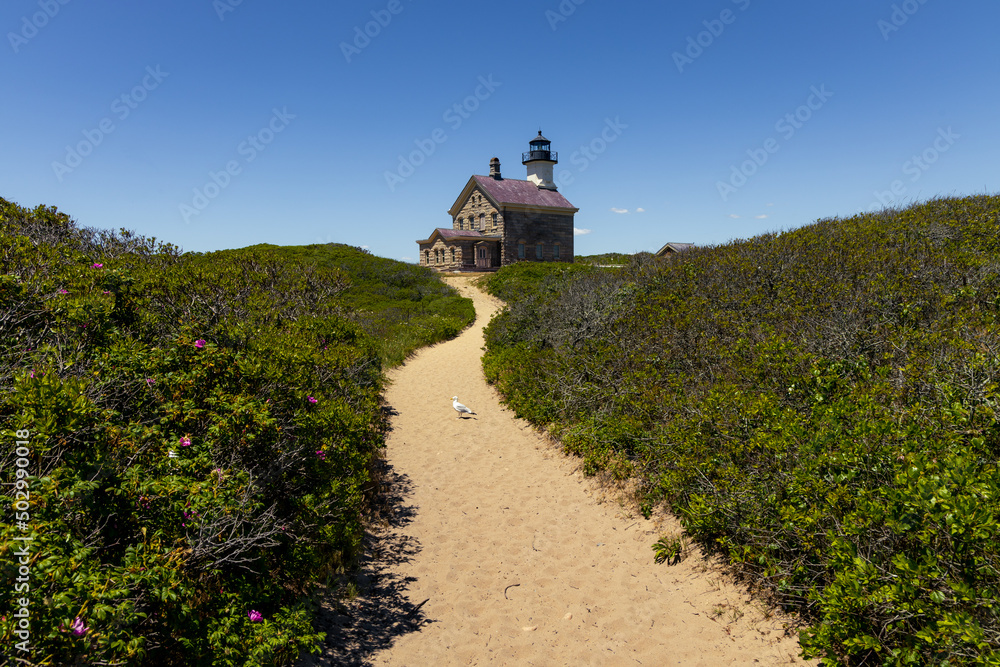 Lighthouse withe lush green and a sand pathway with a seagull Lighthouse withe lush green and a sand pathway with a seagull