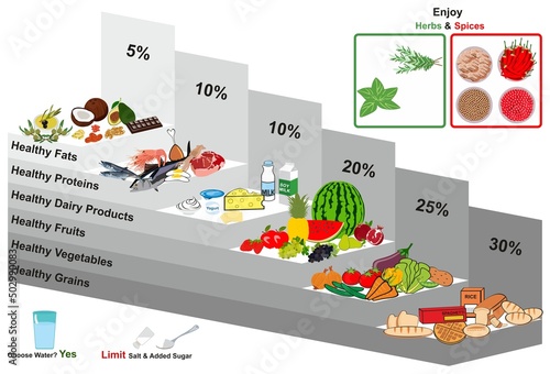 Healthy food pyramid infographic diagram groups of fats proteins dairy products fruits vegetables grains lifestyle pyramide plate diet loss weight concept herbs spices herbs vector drawing  photo