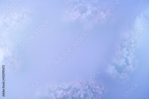 Beautiful purple background with lilac colors