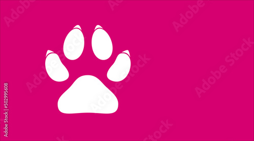 impronte, orme, animali