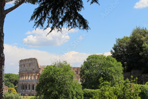 Kolosseum mit Bäumen
