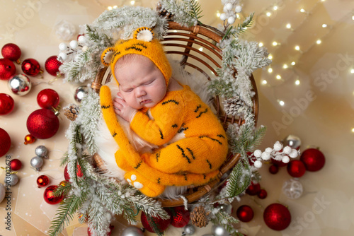newborn child. photo session of newborns. baby is dressed in the image of a tiger © Svetlana
