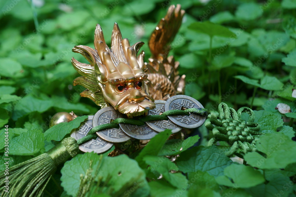 Fototapeta premium A dragon with a bunch of Chinese coins in his teeth. A symbol of power and achievement of the goal.