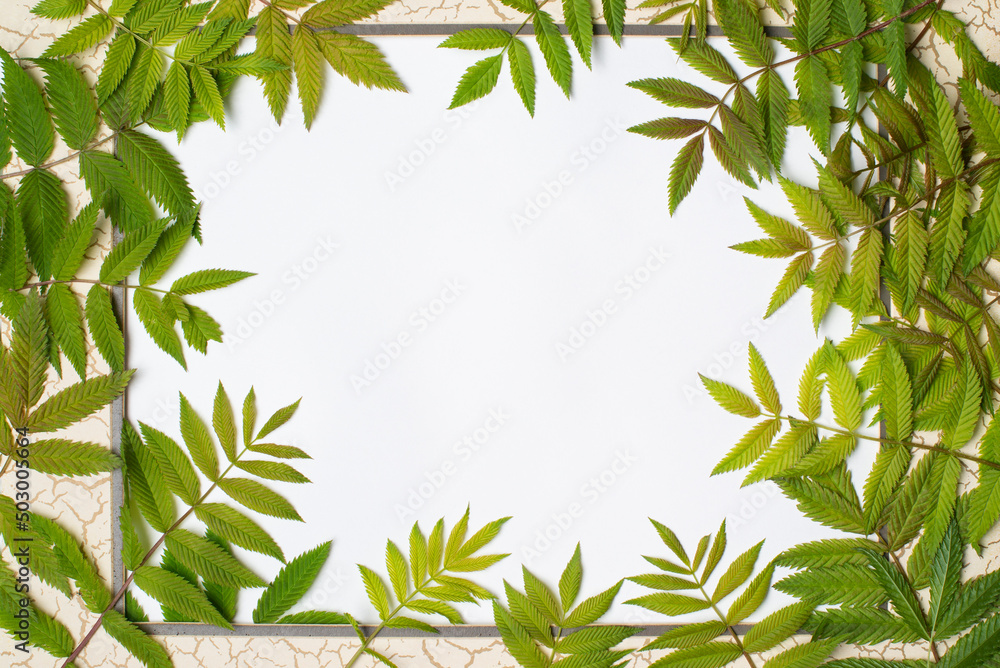 frame covered with green fresh leaves around