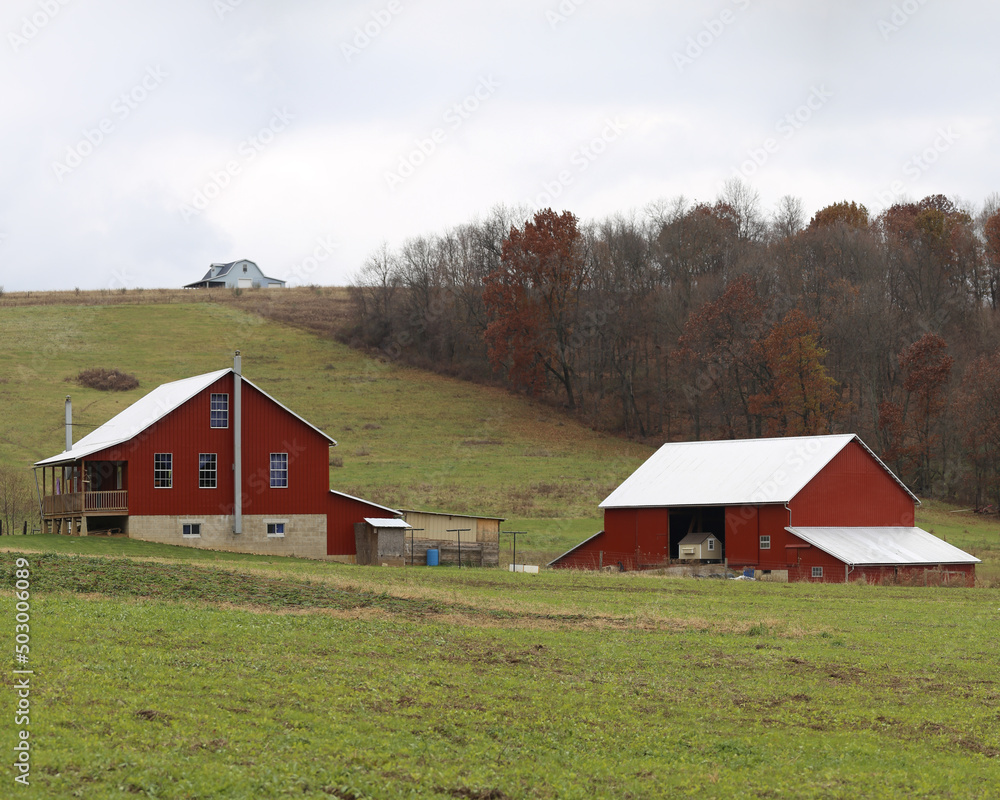 Red Amish Barn and Home in the Green Countryside on a Hill Side
