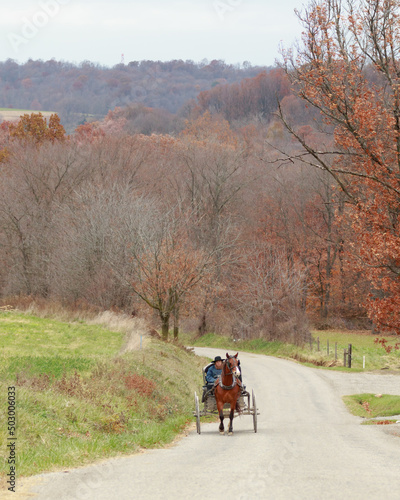 Amish Horse and Buggy on a Back Road in Wayne County, Ohio © Isaac