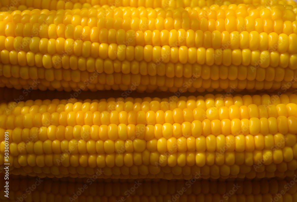 Cobs of boiled delicious corn with shadow. Close-up, copy space. Cobs of boiled delicious corn with shadow. Close-up, copy space.