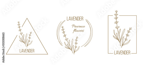 Set of lavender floral hand drawn logo templates