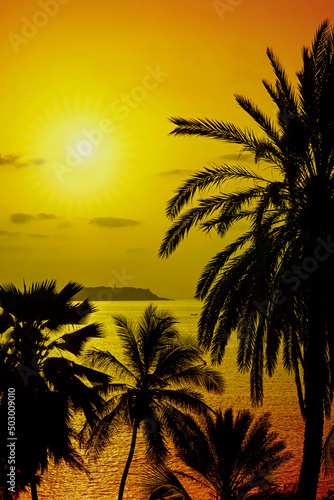 Tropical sunrise on the beach     Silhouettes of coconut palm trees  view on Gor  e Island  Dakar  Senegal