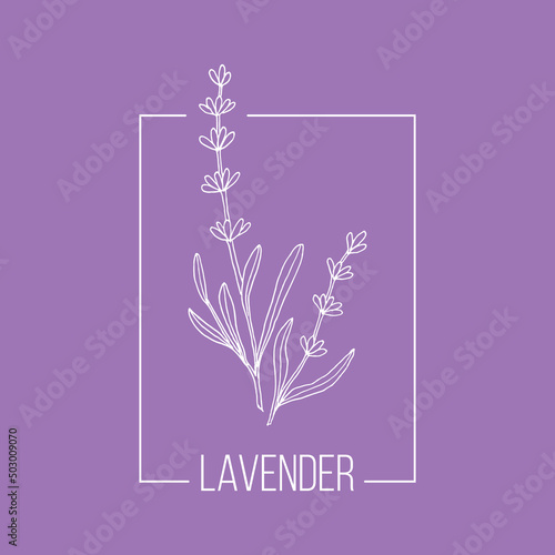 Lavender floral hand drawn logo template