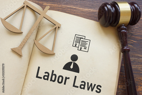 Obraz na płótnie Labor Laws is shown using the text