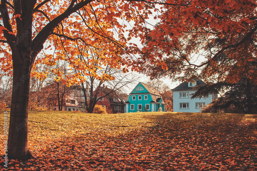 Heidelberg all seasons