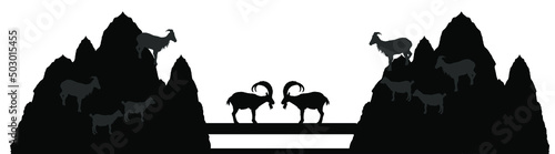 Two bighorn male goats on chump fighting vector silhouette illustration isolated on white. Angry stubborn animal battle. Alpha goat macho conflict on bridge. Natural competition for mating and family.