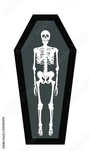 Human skeleton in coffin vector silhouette illustration isolated on white background. Dead man bone structure in box on graveyard. Scary Hallowen scene after funeral ritual ceremony.