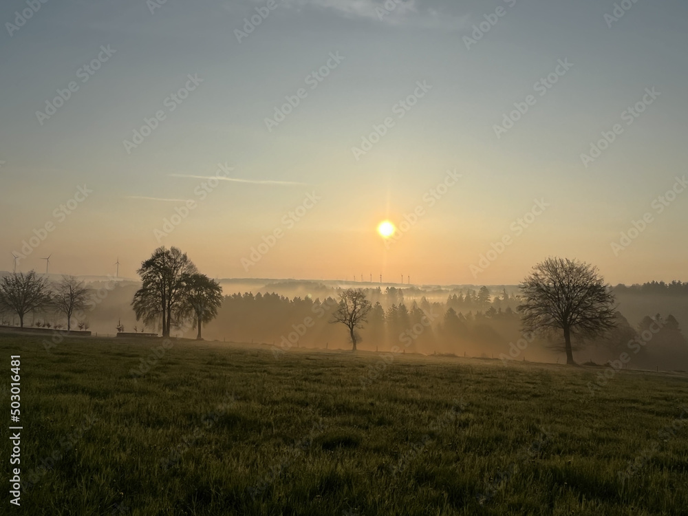 Sonnenaufgang in der Eifel bei Frühnebel Sonnenaufgang in der Eifel bei Frühnebel