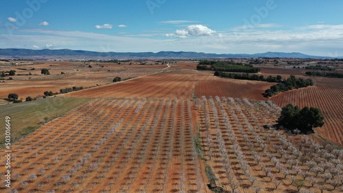 survol de la province viticole de Utiel-Requena près de Valencia en Espagne photo