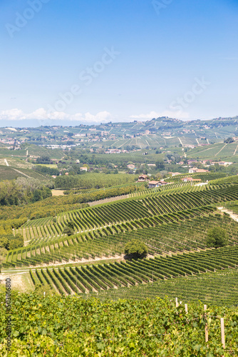 Panoramic countryside in Piedmont region, Italy. Scenic vineyard hill close to Barolo city.