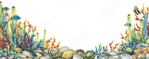 Photography Watercolor illustration of a horizontal board with a marine coral reef and tropical fish