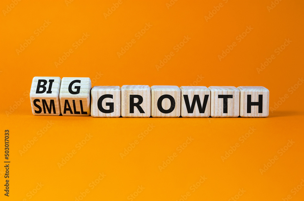 Big or small growth symbol. Turned wooden cubes and changed concept words Small growth to Big growth. Beautiful orange table orange background, copy space. Business big or small growth concept. Big or small growth symbol. Turned wooden cubes and changed concept words Small growth to Big growth. Beautiful orange table orange background, copy space. Business big or small growth concept.