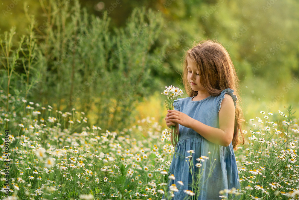 girl is standing in a camomile field and holding a bouquet girl is standing in a camomile field and holding a bouquet