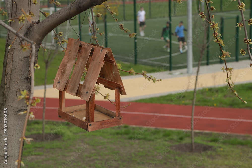 Wooden birds feeder on the tree Wooden birds feeder on the tree