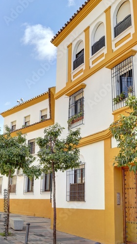 dans les rues de Cordoue et dans les maisons avec cour int  rieure et patio typiquement andalouse et patios  Andalousie Espagne