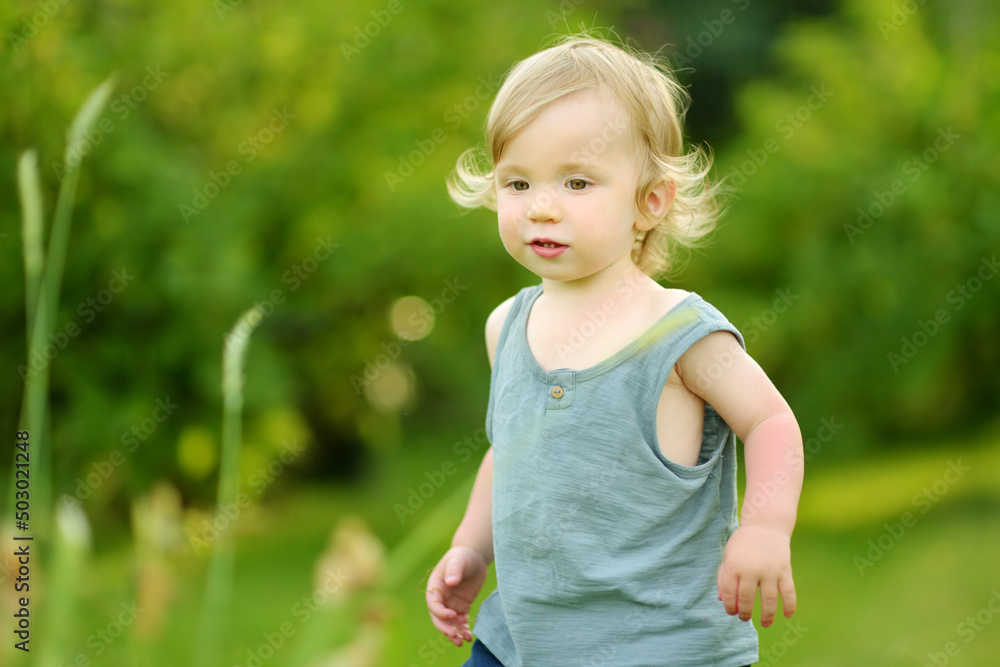 Funny toddler boy having fun outdoors on sunny summer day. Child exploring nature. Funny toddler boy having fun outdoors on sunny summer day. Child exploring nature.