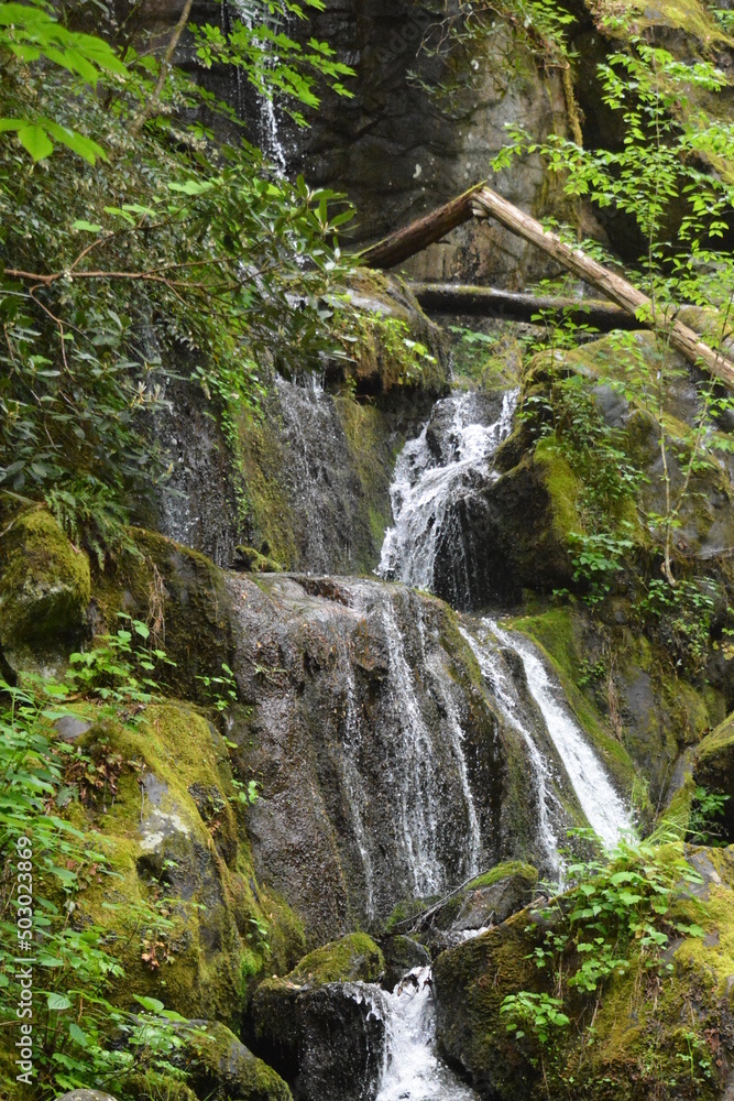Fototapeta premium water, waterfall, nature, natural, river, travel, stream, stone, rock, scenic, forest, cascade, landmark, flowing, beautiful, outdoor, tree, green, landscape, mountain, fall, vacation, park, vertical,