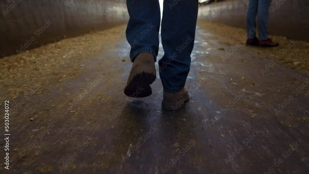 Closeup farmer boots strolling wooden shed aisle. Agricultural team at work. Closeup farmer boots strolling wooden shed aisle. Agricultural team at work.