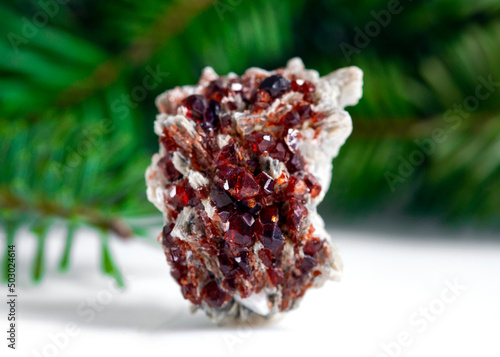 Φωτογραφία garnet  mineral specimen stone rock geology gem crystal