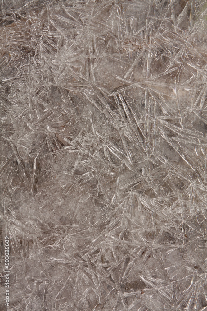 ice crystals on the puddle ice crystals on the puddle
