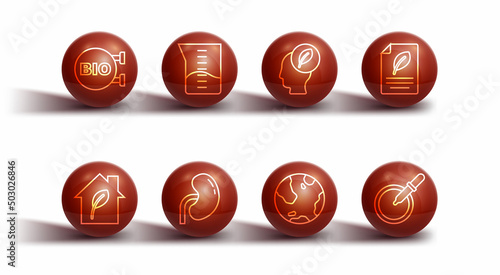 Set line Bio healthy food, Eco friendly house, paper with leaf, Earth globe, Human kidney, Laboratory glassware or beaker, Petri dish pipette and head inside icon. Vector