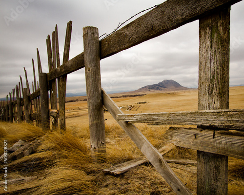 Bear Butte View