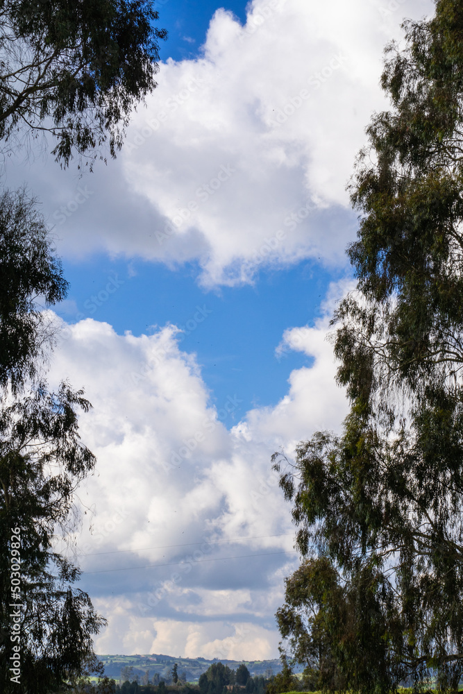 Obraz premium clouds and sky