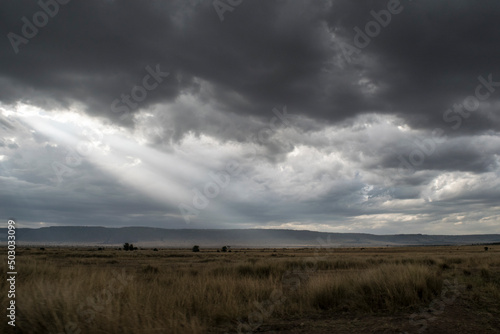 Shafts of Light Penetrate Storm Clouds in the Maasai Mara, Kenya