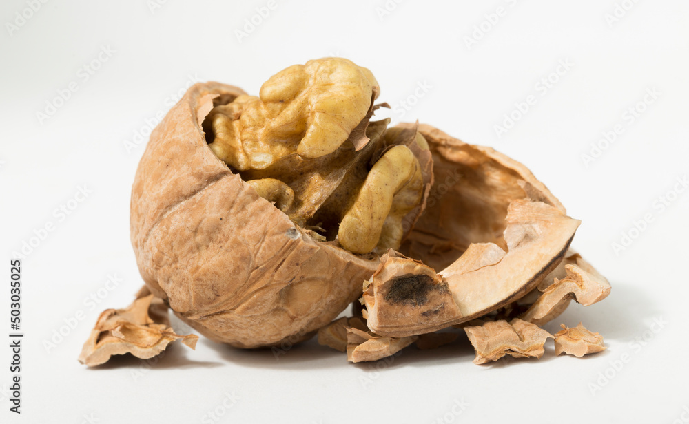 Walnuts are rounded, single-seeded stone fruits of the walnut tree. Cracking a nut. Walnuts are rounded, single-seeded stone fruits of the walnut tree. Cracking a nut.
