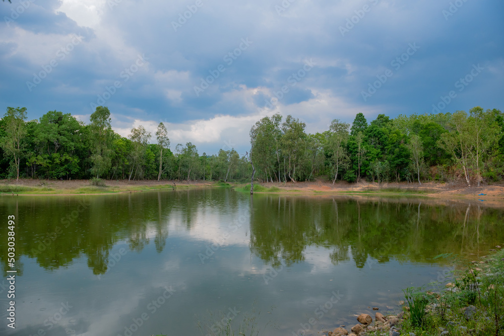 Obraz premium Beautiful and bright nature background images. 