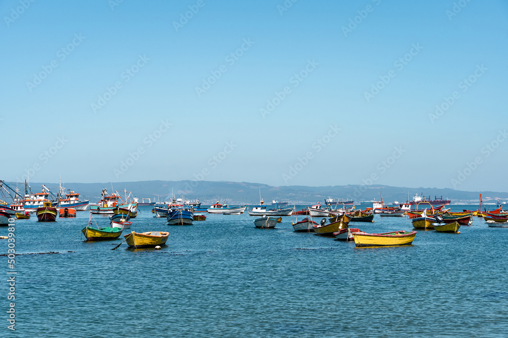 Horizontal shot of colorful boats in Caleta Tumbes with mountains in the background, Chile
