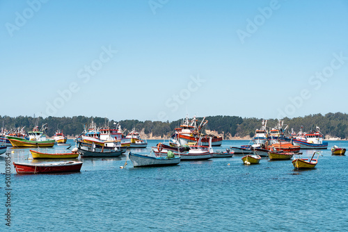 Horizontal shot of colorful boats in Caleta Tumbes, Chile