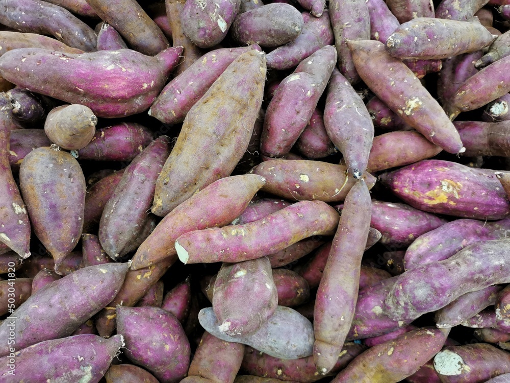 Potato Brown Purple In Store background Potato Brown Purple In Store background
