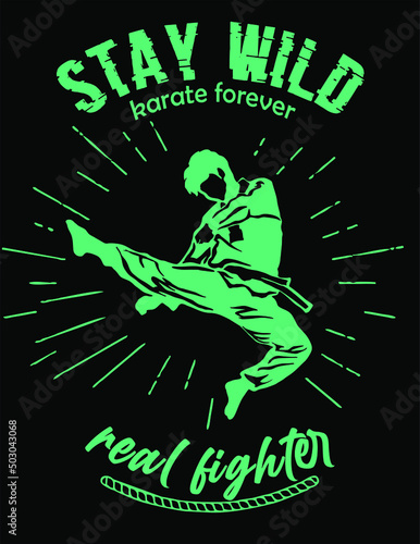 karate illustration vector pose